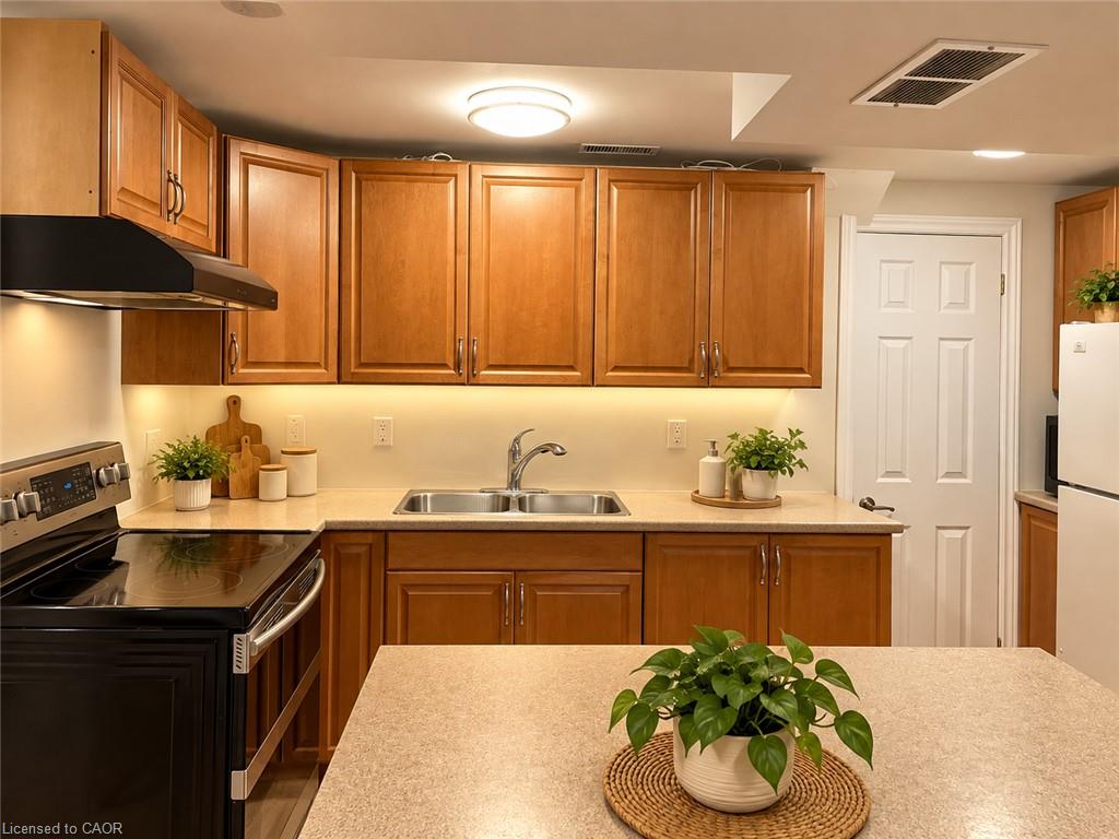 Unit Lower - 249 Blucher Street, Kitchener 5