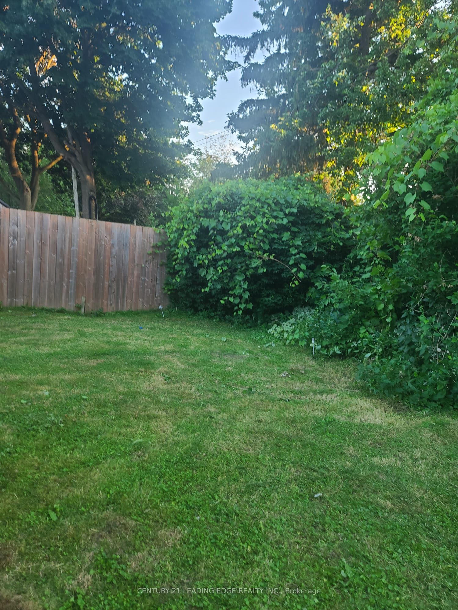 Unit Bsmt - 108 Rochman Boulevard, Scarborough 2
