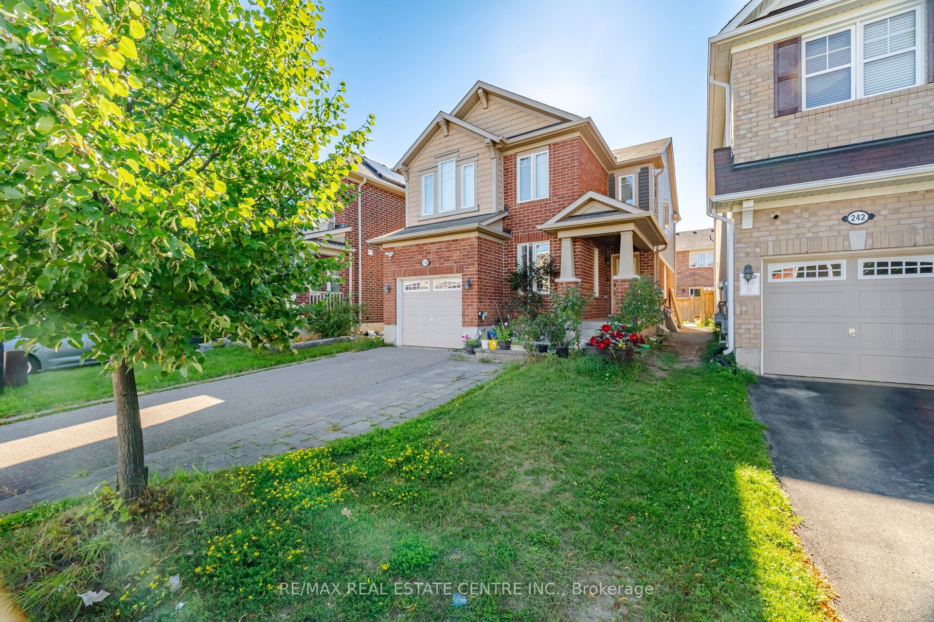Unit Basement Only - 238 Cedric Terrace, Milton 5