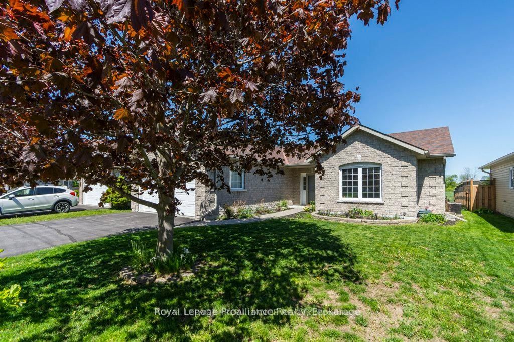 51 Applewood Drive, Brighton 3